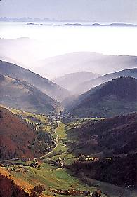 Schwarzwald Aussichten