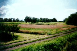 Renchtal - Schwarzw�lder Natur